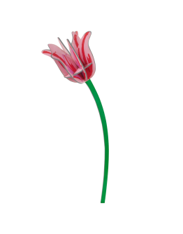 STUDIO ROOF - Pink Tulip