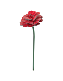 STUDIO ROOF - Rose