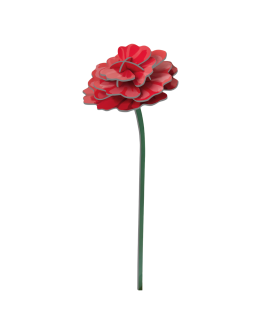 STUDIO ROOF - Rose