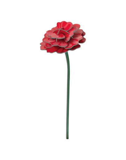 STUDIO ROOF - Rose