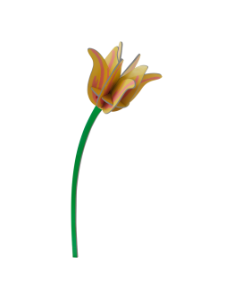 STUDIO ROOF - Yellow Tulip