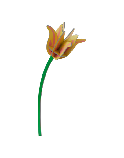 STUDIO ROOF - Yellow Tulip