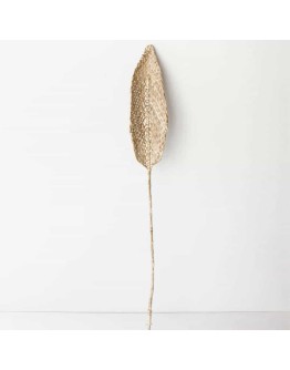 URBAN NATURE CULTURE - Planta De Praia