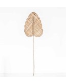 URBAN NATURE CULTURE - Planta De Praia